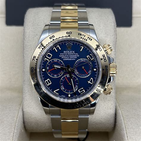 rolex 116503 blue